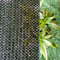 Paño neto de la sombra de la sombra del HDPE para la red del guarda-brisa del jardín del agri